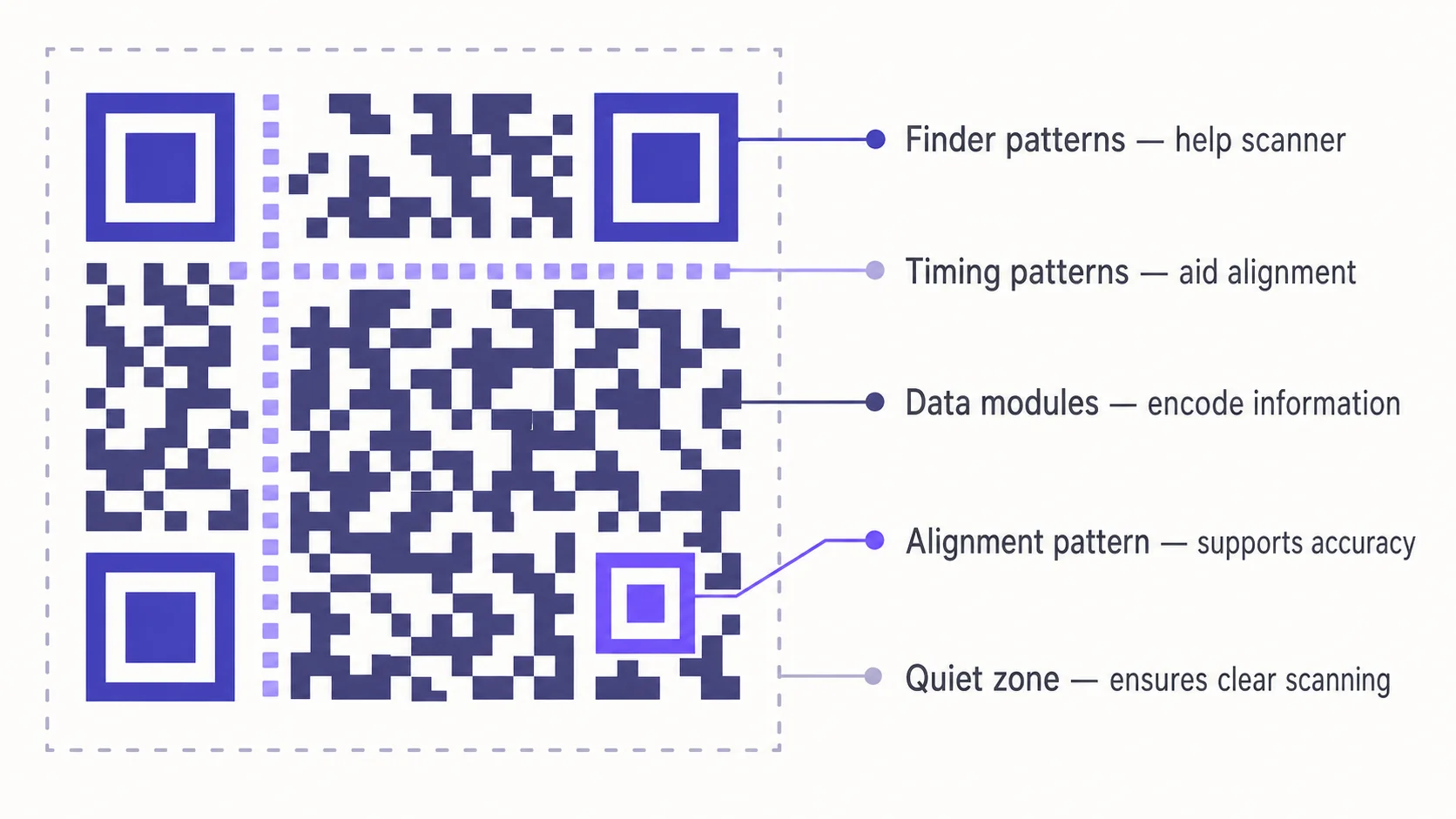 Annotated diagram of a QR code with five callout labels: finder patterns in the corners, the timing pattern row and column, the alignment pattern square, the data modules grid, and the dashed quiet-zone outline around the code.